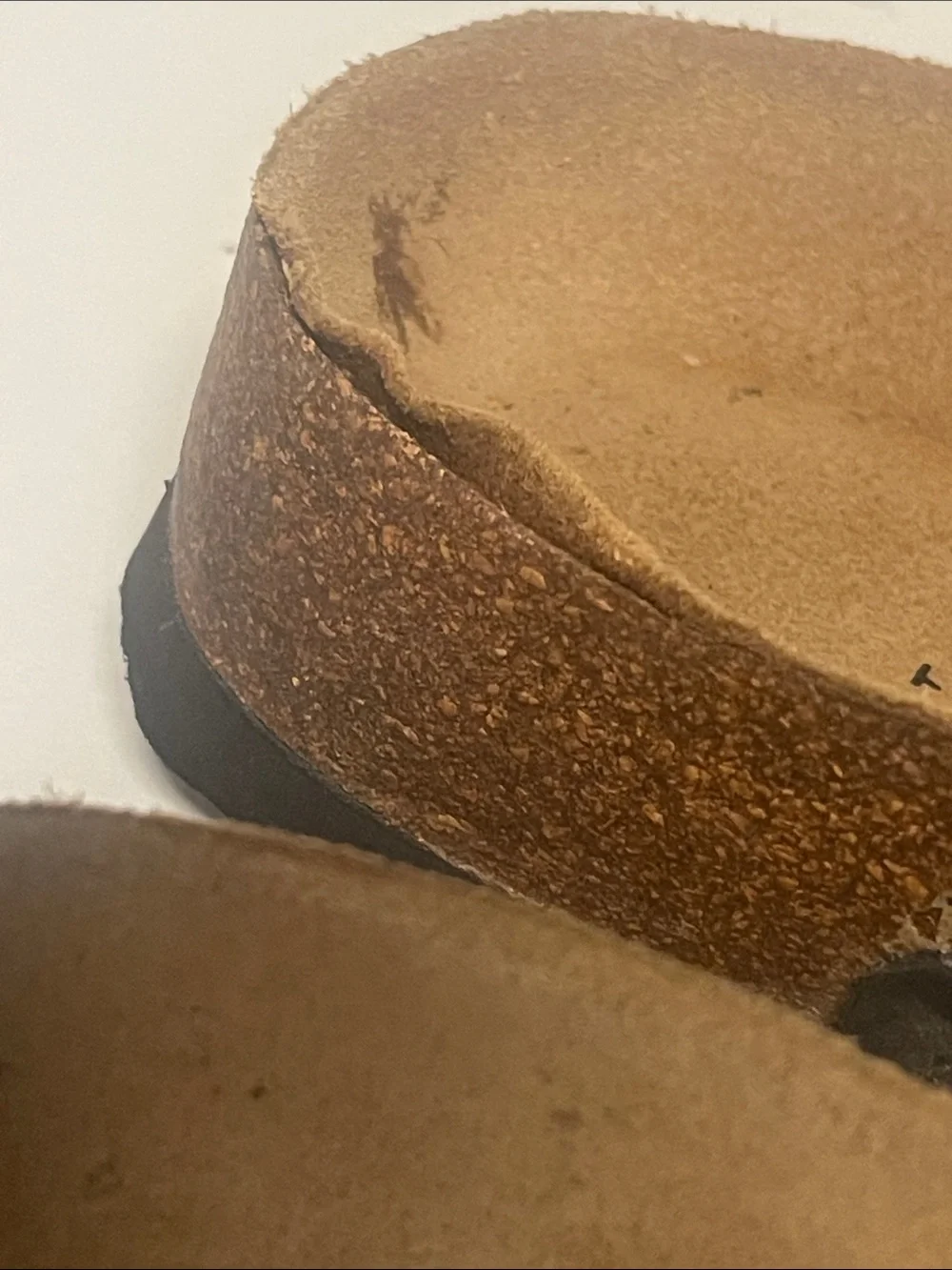 Birkenstock has some